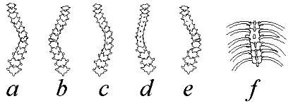 Difetti di formazione