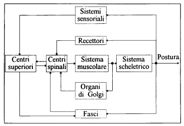 Schema a blocchi controllo postura